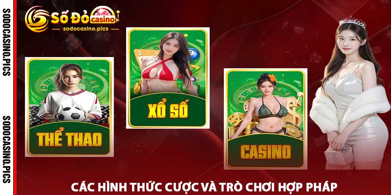 Điều khoản Và Điều Kiện