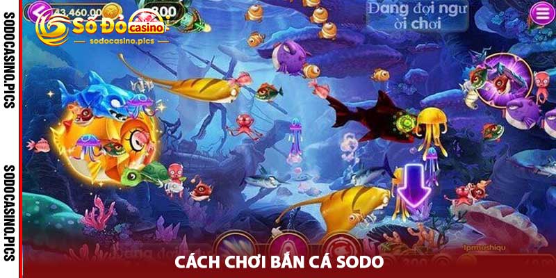 Bắn cá sodo