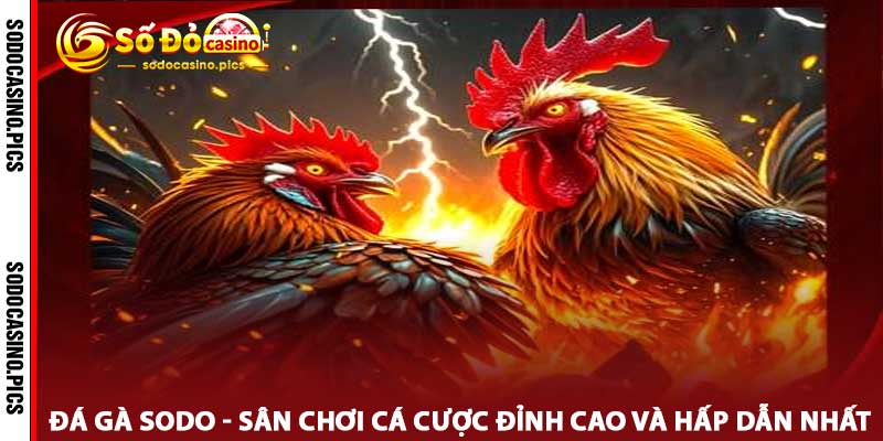 Đá Gà SODO