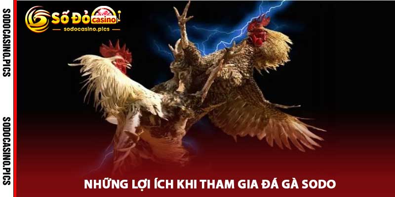 Đá Gà sodo
