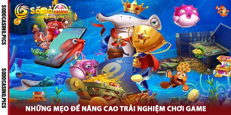 Bắn Cá sodo