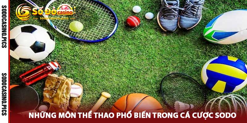 Thể thao sodo