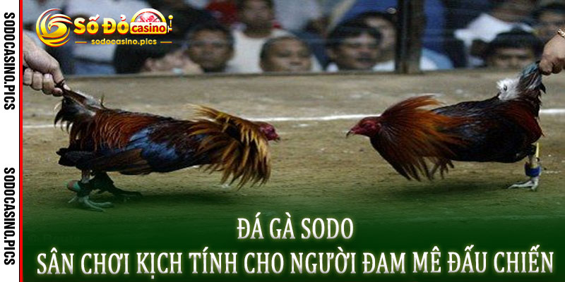 Đá Gà Sodo