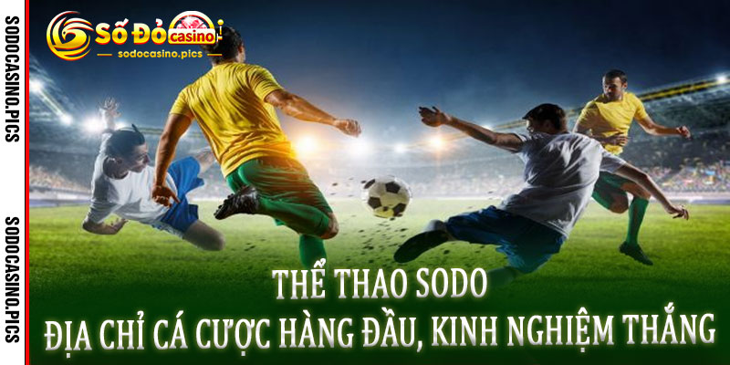 Thể Thao Sodo